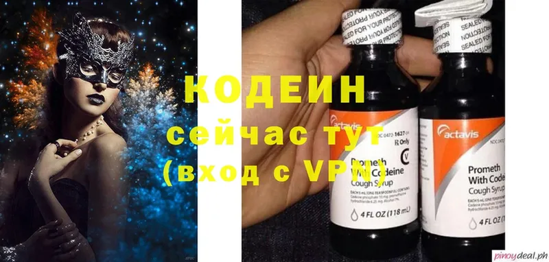 Кодеиновый сироп Lean Purple Drank  где купить наркоту  Каменка 